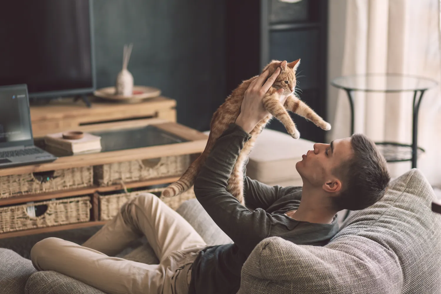HanseMerkur Versicherung - Tierversicherung - Attraktiver Teenager entspannt sich auf einer modernen, weichen Couch im Wohnzimmer seines Zuhauses.