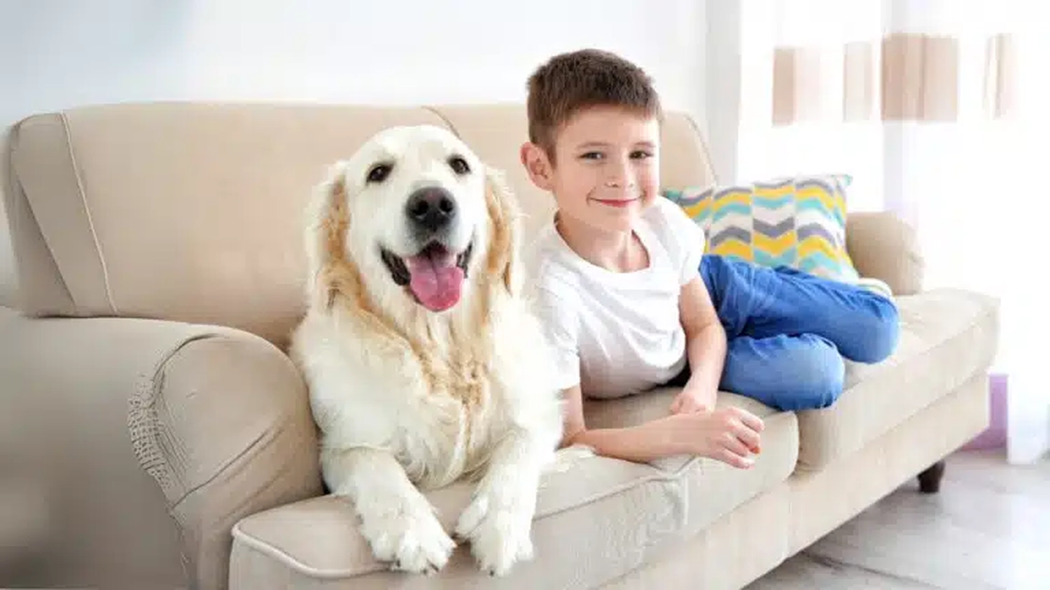 HanseMerkur Versicherung - Tierversicherung - Kleiner Junge mit Hund