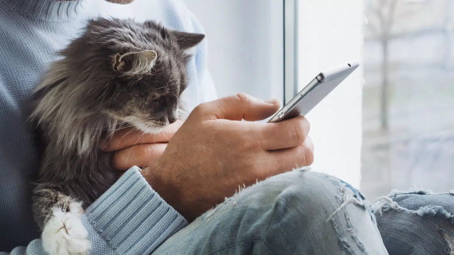 HanseMerkur Versicherung - Tierversicherung - Mann mit Katze