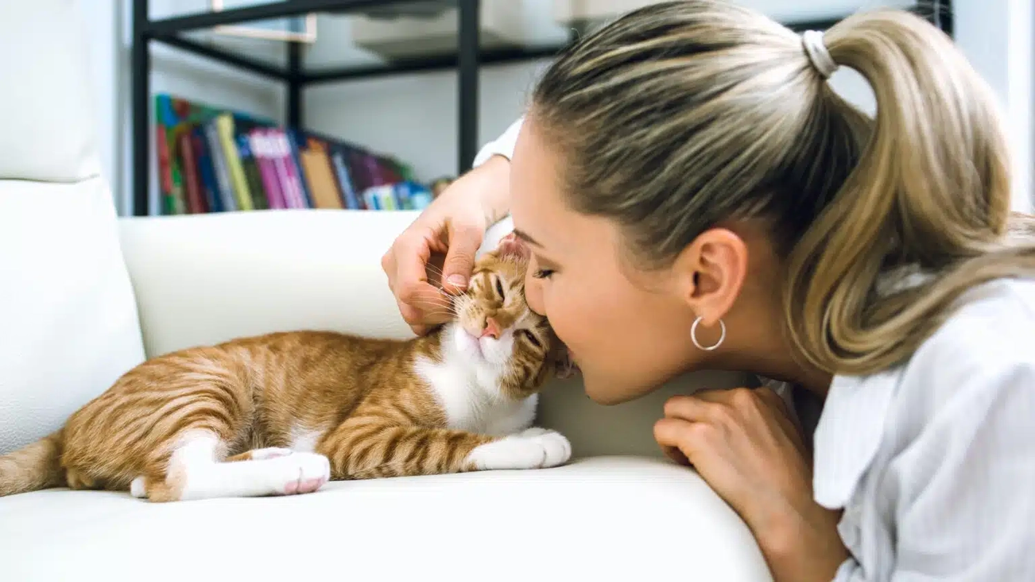 HanseMerkur Versicherung - Tierversicherung -  Frau mit Katze